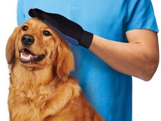 гладим собаку перчаткой для чистки от шерсти